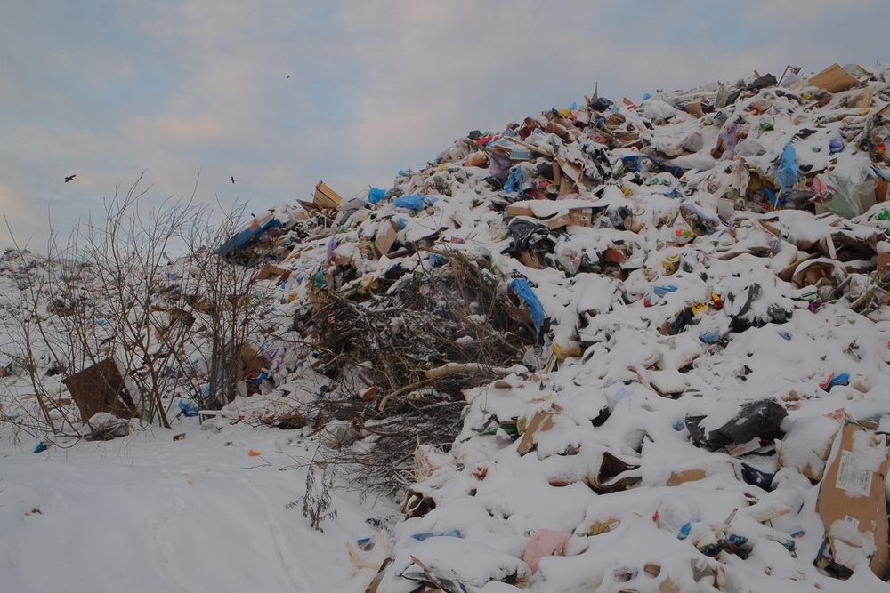 Это что-то новенькое: регоператор заставляет полигоны использовать весовые контроли
