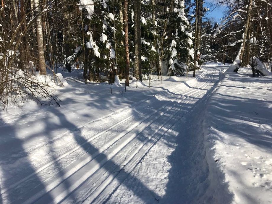 Пришли лампы, но не те.