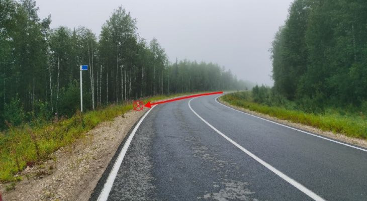 Виновник смертельного ДТП из Ухты выслушал приговор