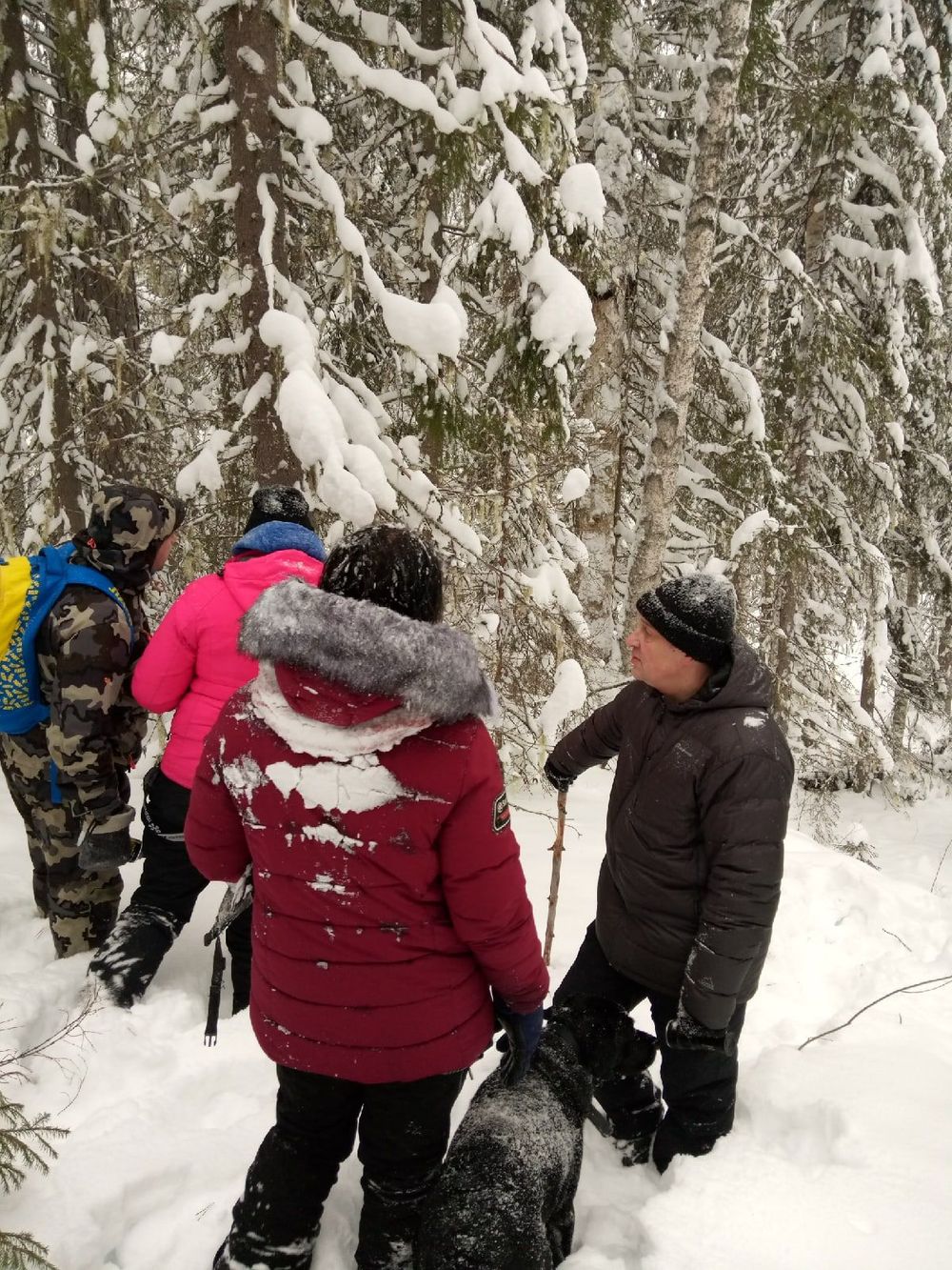 Волонтеры приостановили поиск Натальи Баскаковой