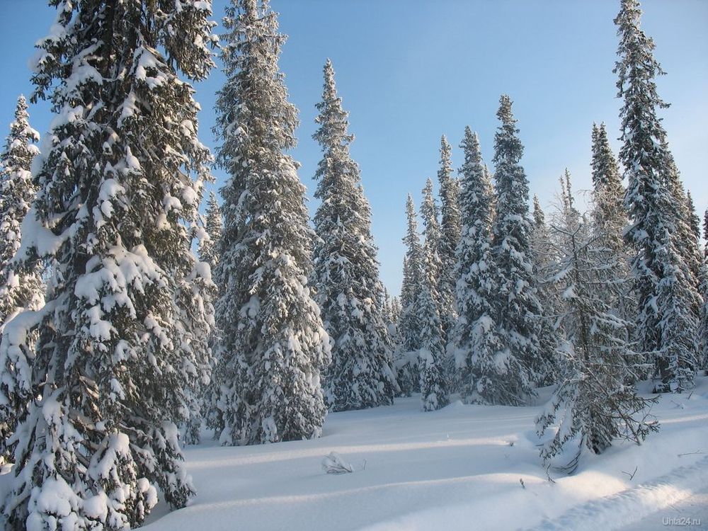 Злоупотребил на 325 миллионов