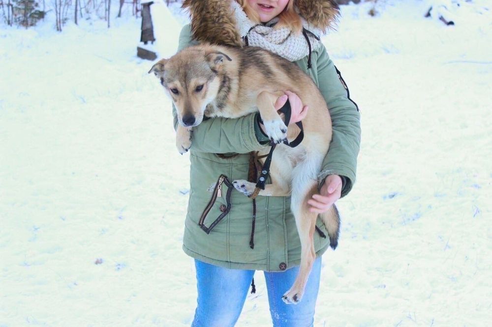 Берта ищет дом