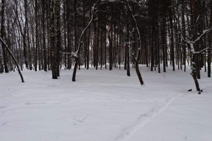 Жители Коми гибнут в поисках наркотиков