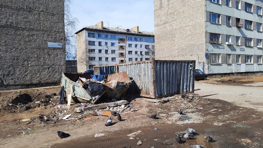В Ухте изменится порядок обслуживания контейнерных площадок