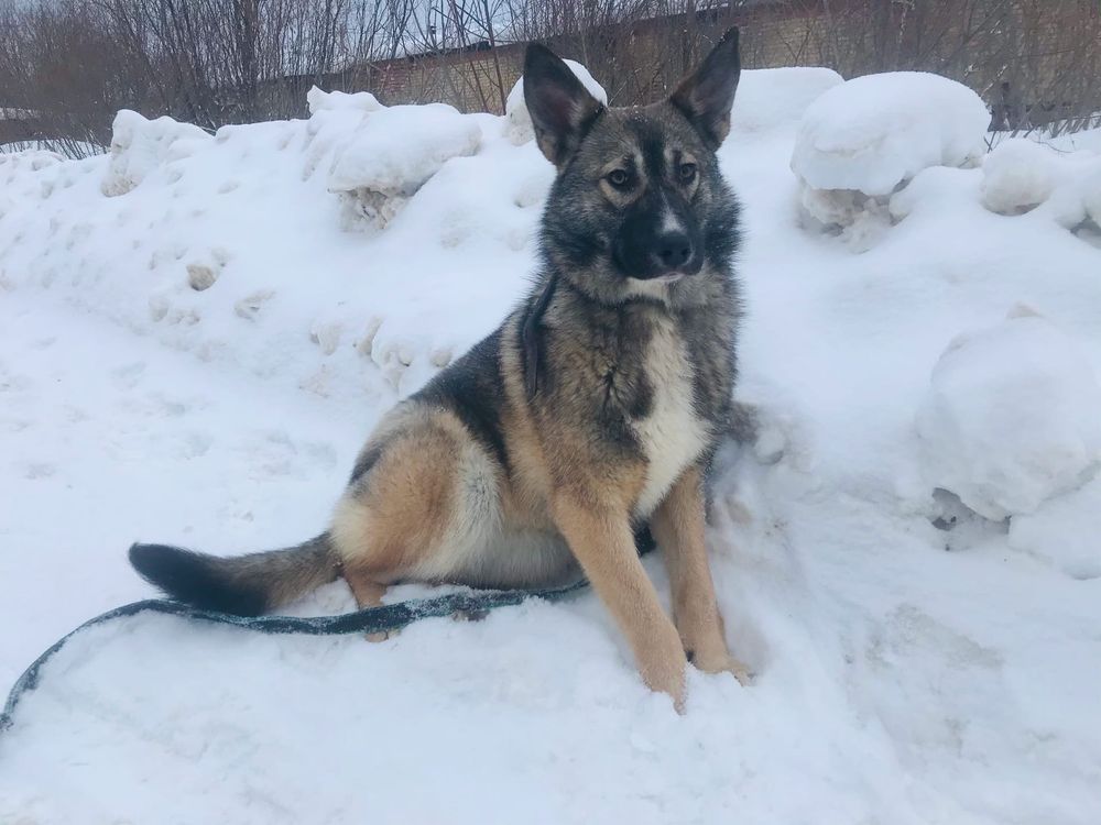 Хотите свою Венгрию? Тогда вам сюда