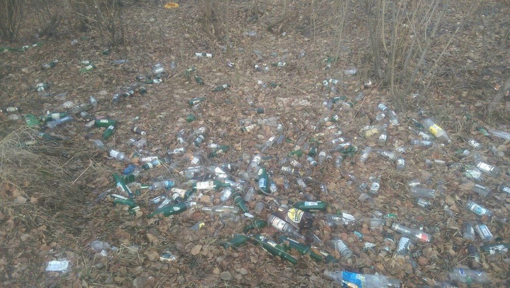 Ухтинские журналисты начинают череду субботников и приглашают горожан присоединиться