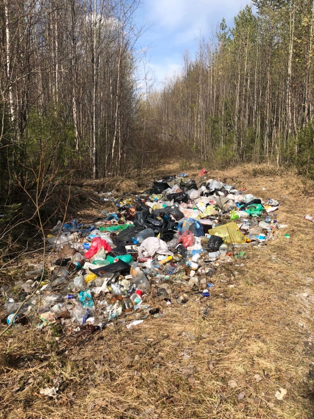 Ухтинцы приглашают желающих совместно убрать свалку в лесу