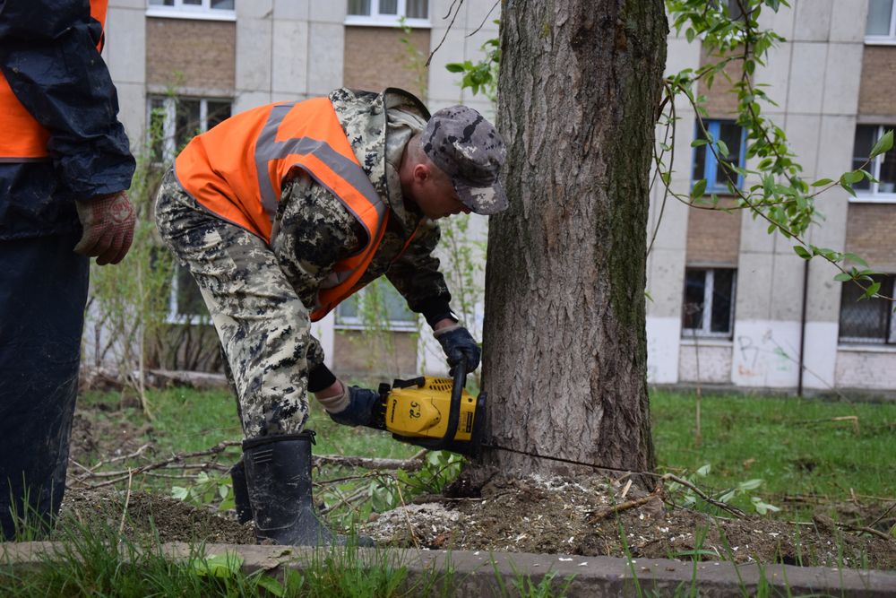 В Ухте продолжают наводить порядки после вчерашнего урагана