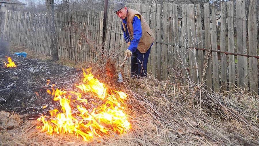 МЧС предложило разрешить сжигать сухую траву на дачах в 15 м от построек