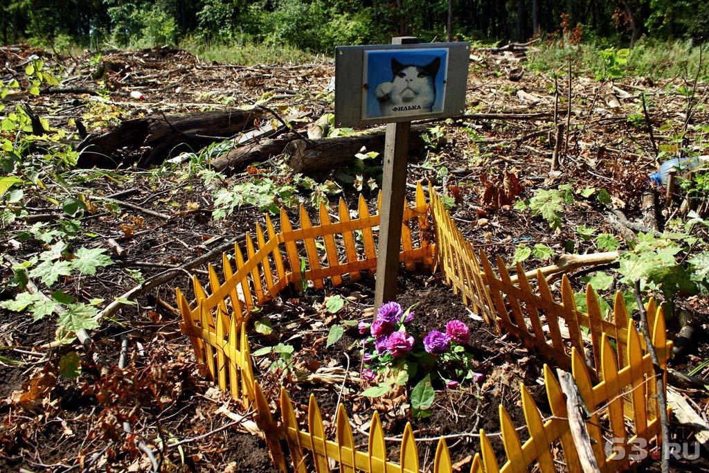В Ухте в очередной раз  планируют ликвидировать кладбище домашних животных