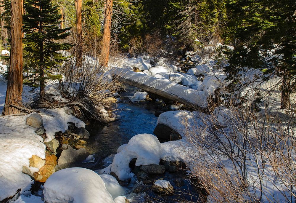 Ухтинские спасатели эвакуировали из леса двух женщин с детьми