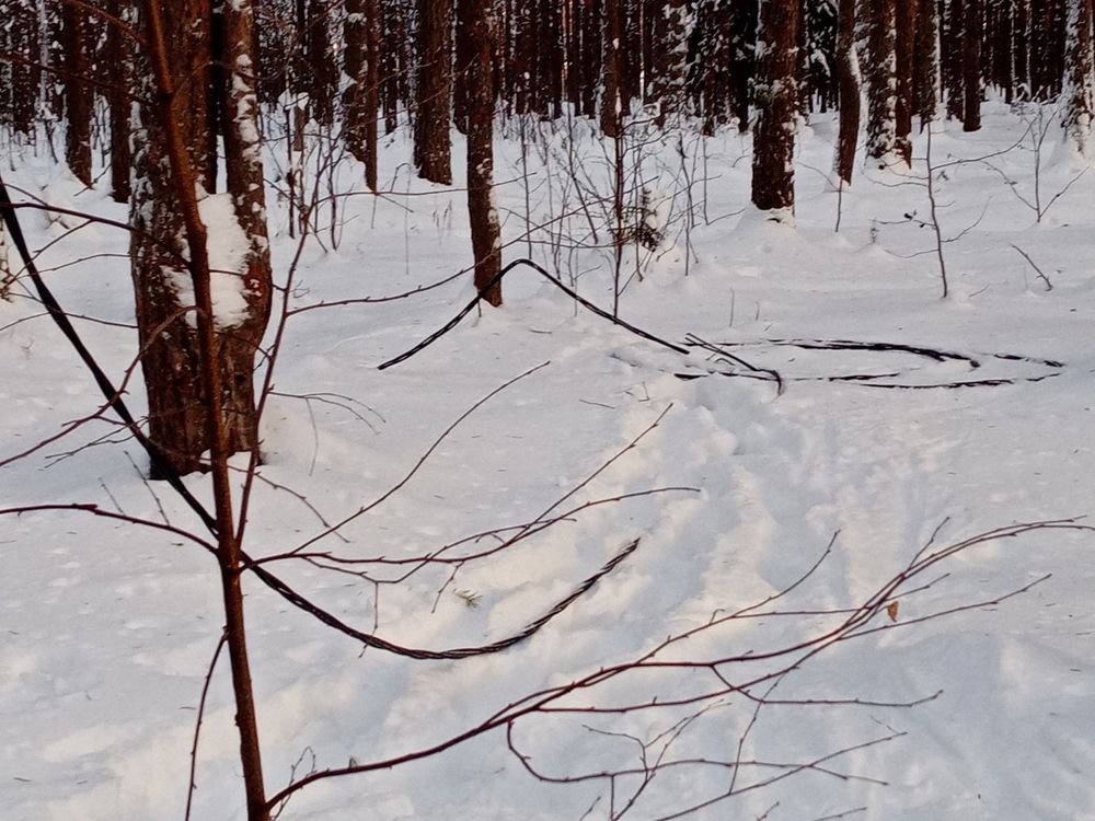 В Шудаяге неизвестные оставили без освещения лыжную трассу детской спортивной школы