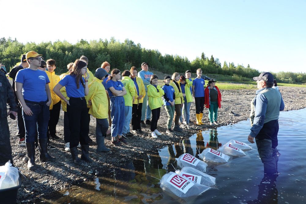 ЛУКОЙЛ-Коми выпустил 3 миллиона мальков сига в Усу