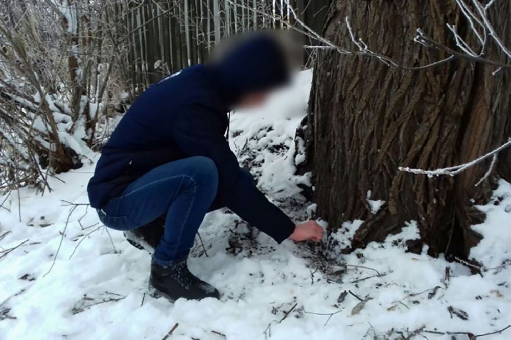 В Коми установят фотоловушки, чтобы вычислять закладчиков наркотиков