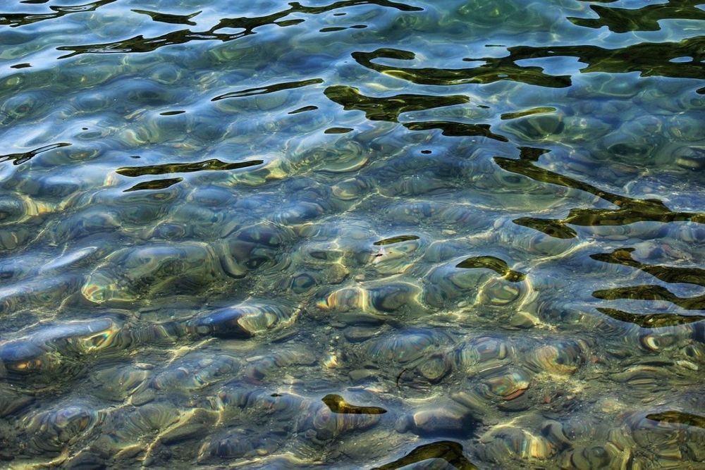 Ухтинец предстанет перед судом за повреждение гусеничным транспортером лесных насаждений на особо охраняемой природной территории