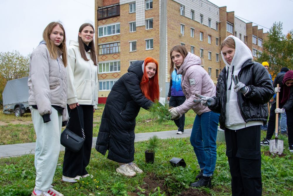 Студенты Ухтинского государственного университета высадили на городской Набережной более 300 кедров