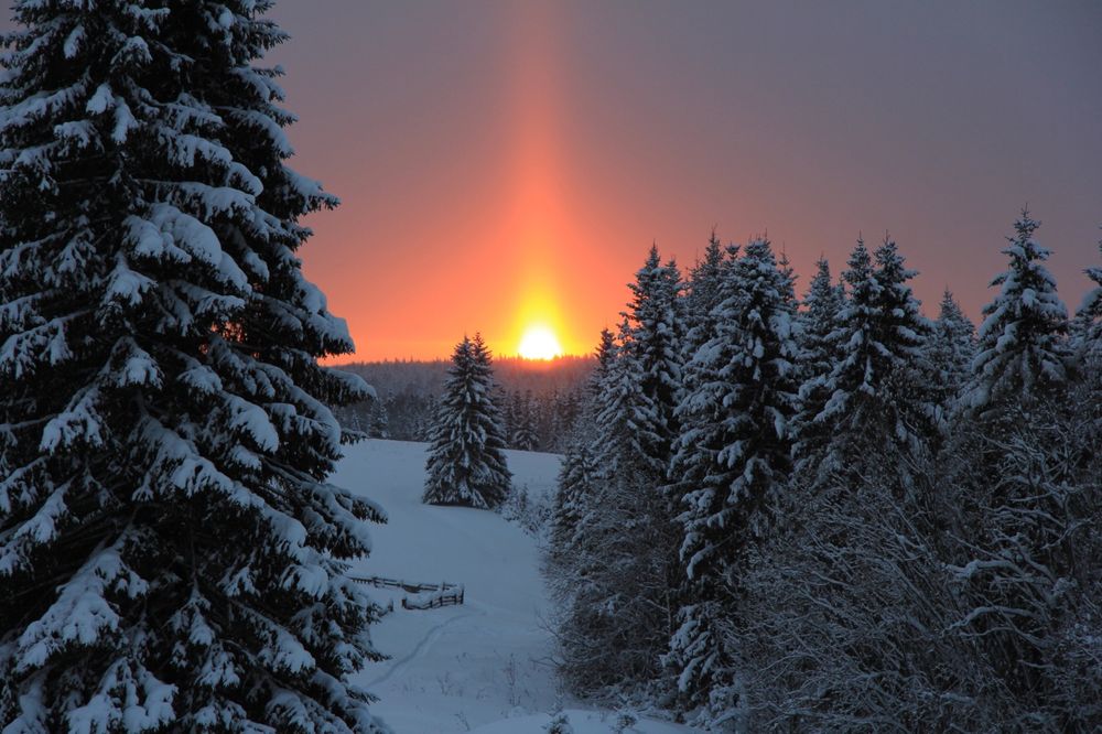 АО «Транснефть – Север» содействует в обеспечении сохранности природных территорий