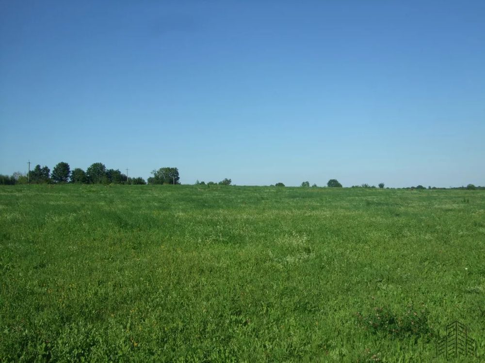 В России с 1 марта 2025 года изменятся правила регистрации земельных участков