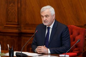 Губернатор всё же высказал своё отношение к проблеме с бездомными собаками