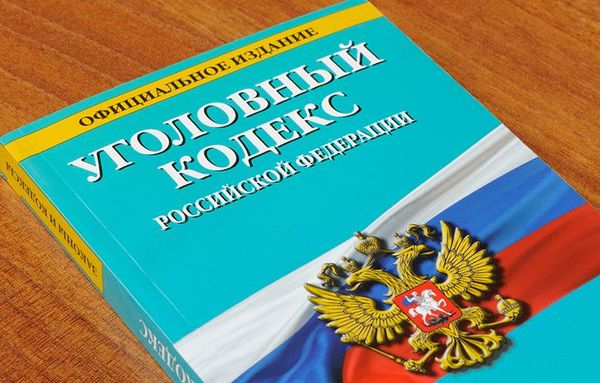 "Уголовный проступок" может появиться в уголовном кодексе