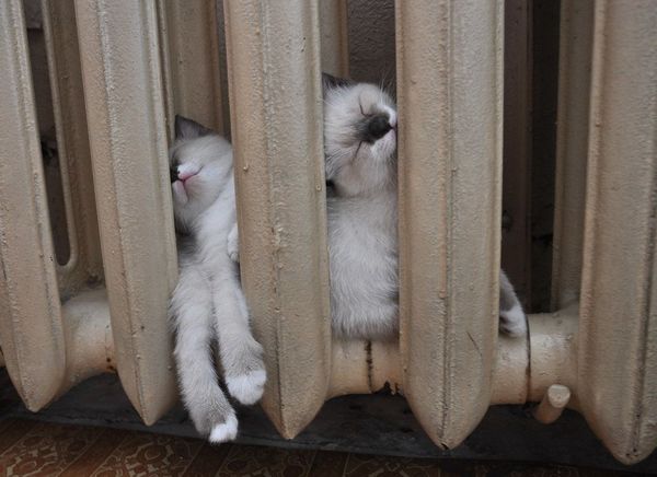 А вам уже пришли корректировки за тепло?