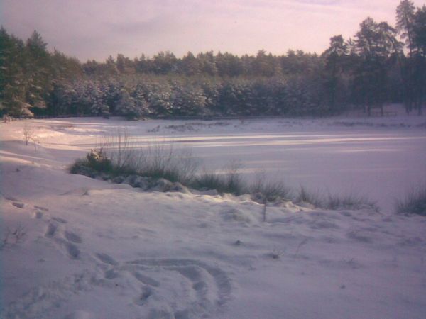 В  Сосногорском районе выясняются обстоятельства смерти молодого человека