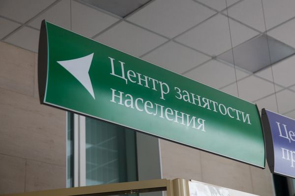 И пособие по безработице получить и подработать не получится