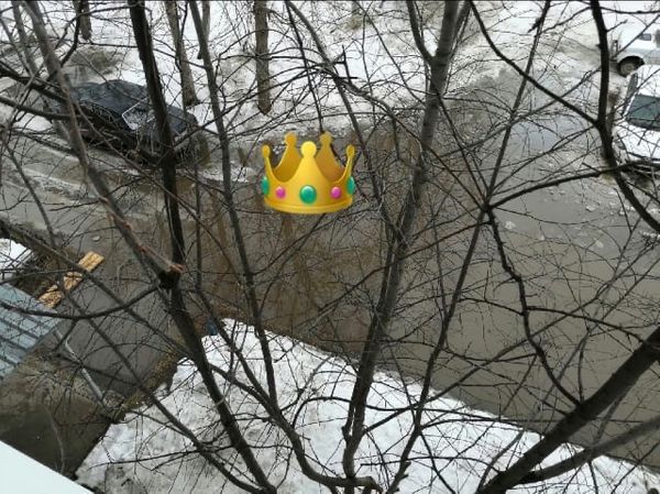 Почетное звание "Королева луж" Ухты  перешло к следующему участнику