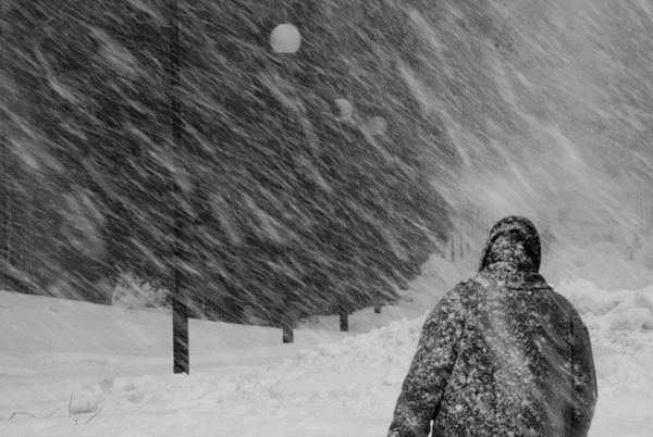 У природы нет плохой погоды: От дождя до заморозков