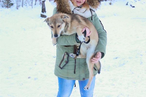 Берта ищет дом