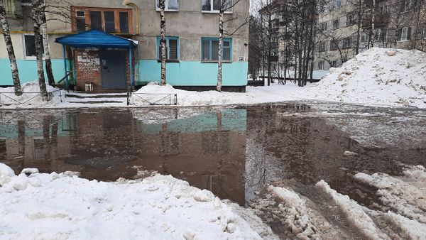 Море-океан: В Ухте появилась очередная "Королева луж"