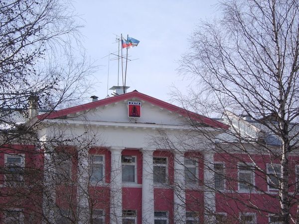 Администрация Ухты заплатит за покусанных собаками детей