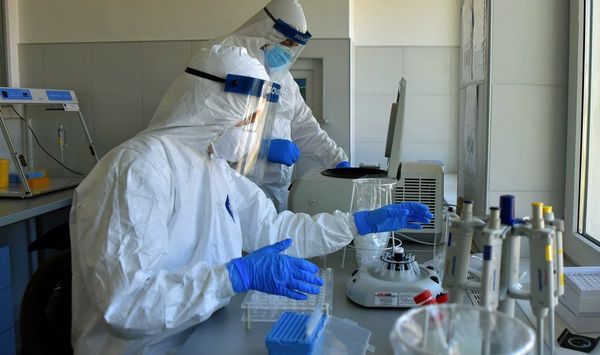 Всех прибывающих из-за границы россиян обяжут сдавать тест на коронавирус