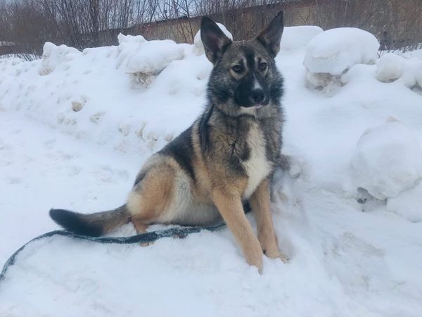 Хотите свою Венгрию? Тогда вам сюда