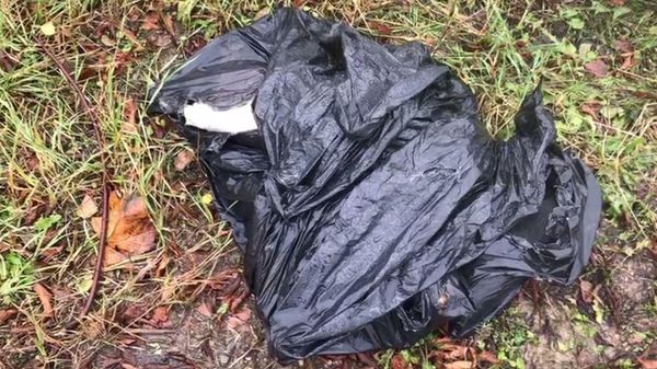 После страшной находки в Ветлосяне следователи возбудили уголовное дело по статье убийство