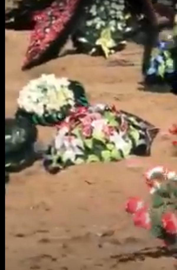 В Ухте проверяют информацию о медведе, которые бродит по кладбищу (видео)