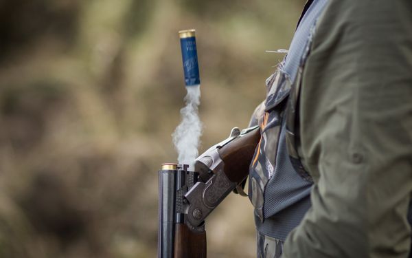 Контроль за выдачей медсправок на оружие ужесточат с 1 марта 2022 года