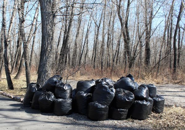 Ухта купит мешков для мусора на 480 тысяч рублей