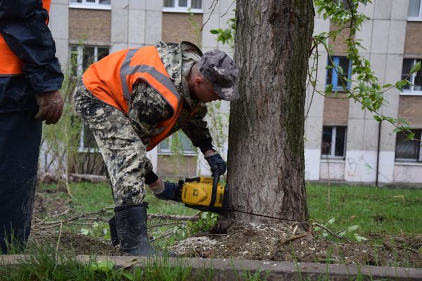 В Ухте продолжают наводить порядки после вчерашнего урагана