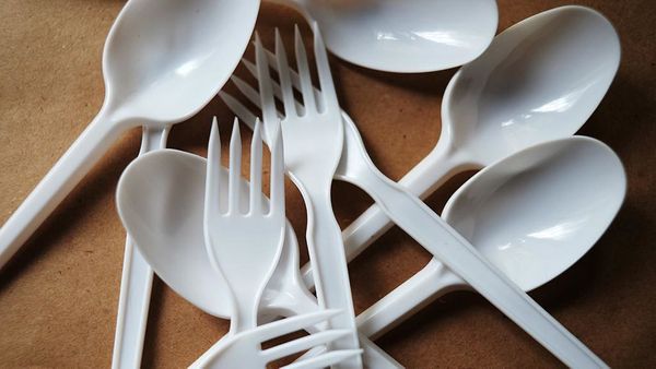Правительство готовит запрет использовать в России одноразовую посуду из пластика