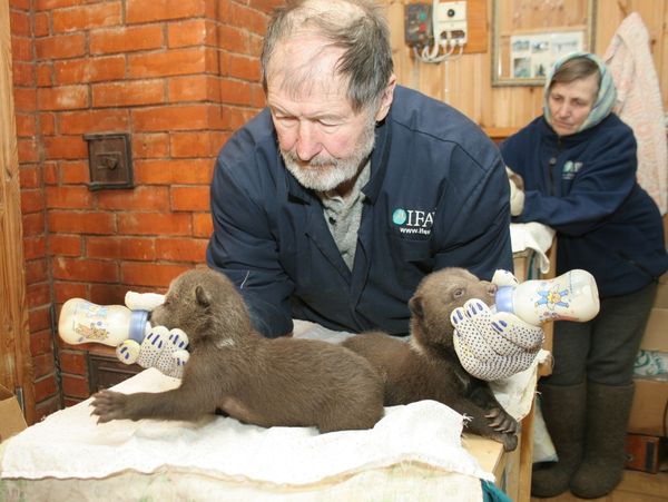 Погиб всемирно известный биолог и спаситель медвежат Валентин Пажетнов