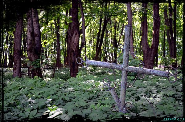 Смертность от наркотиков в России выросла на 60% на фоне пандемии