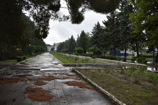 В лагере "Черноморская Зорька" находятся 37 детей из Ухты. Все они чувствуют себя хорошо