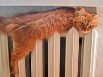 В Ухте социальные объекты начали подключать к теплу