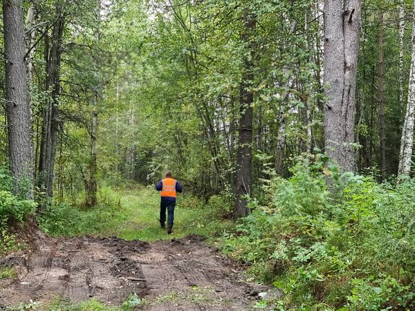 В Ухте спасатели вывели из леса пожилых супругов