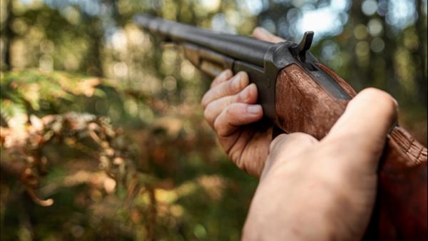 Ухтинец отстрелил приятелю пальцы, отпугивая медведя