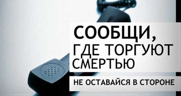 В Коми начался второй этап Общероссийской акции «Сообщи, где торгуют смертью»