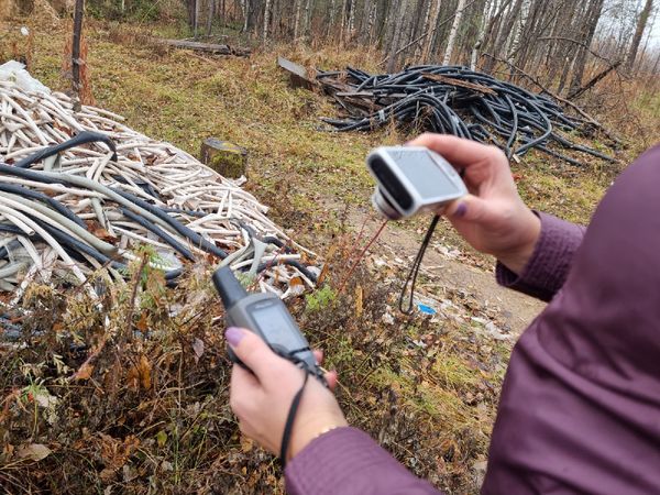 Минприроды возбудило административное дело в отношении неустановленных лиц, организовавших свалку в лесном массиве на территории ухтинского района