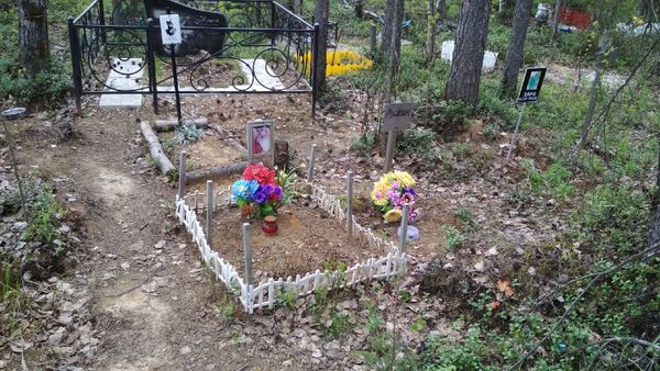 В Ухте определяют подрядчика для ликвидации несанкционированного кладбища домашних животных