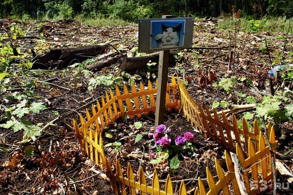 Бюджету удалось сэкономить более миллиона рублей на ликвидации кладбища домашних животных